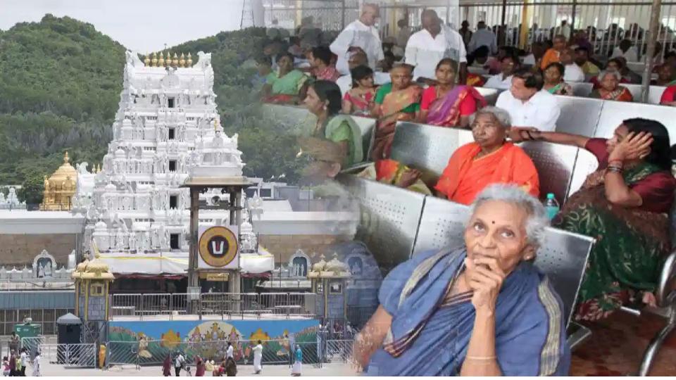 TTD to provide free special darshan for senior citizens in Tirumala