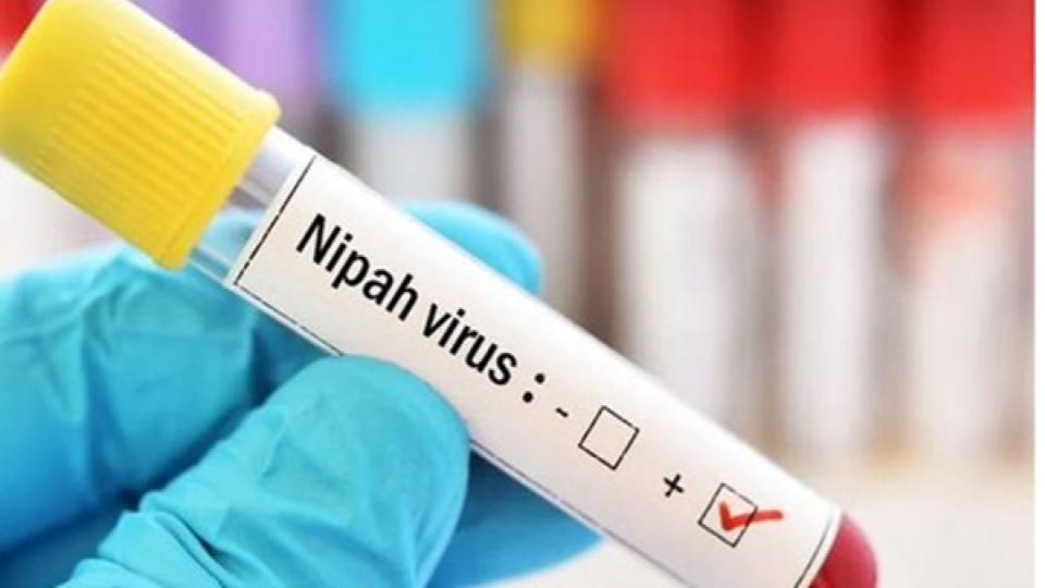 Two Suspected Nipah Cases Reported In West Bengal