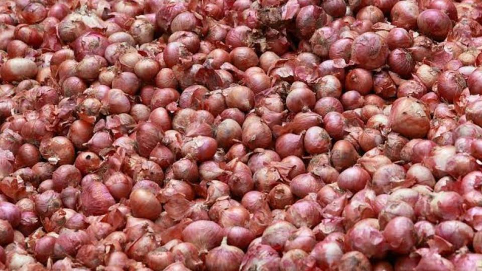 453 Tonnes Of Onions Reaches Delhi To Reduce Prices 