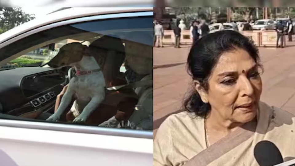 Renuka Chaudhary Brings Puppy To House 