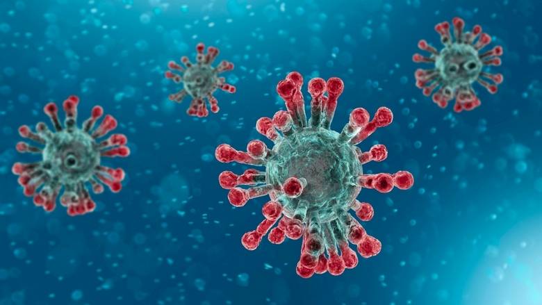 indiapartofusledinitiativetoshareinfoonintegratingsciencetocoronavirusresponse