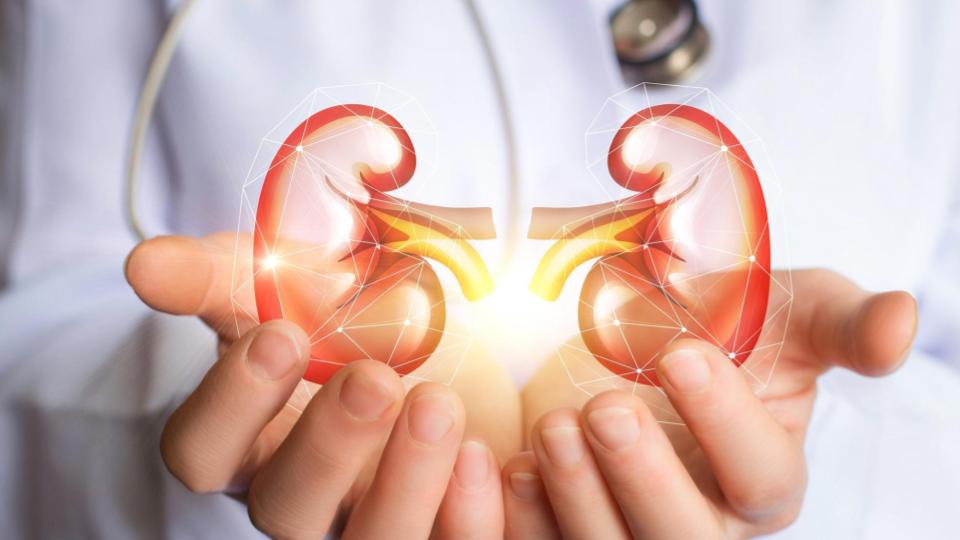 64-year-old woman donates kidney to grandson in Bengaluru