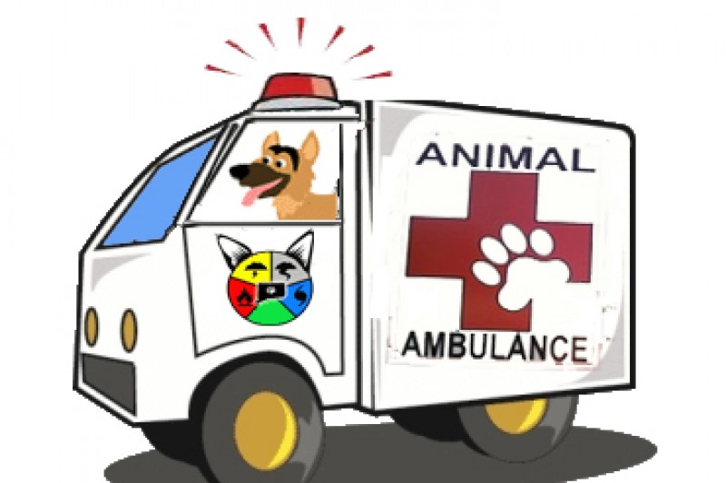 Andhra to launch India's first govt run ambulance network for animals .