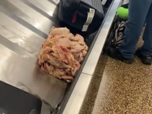 massiverawmeatcubeonbaggageclaimcarouselleavespassengersnauseous