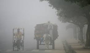 31dieduetocoldinuttarpradesh