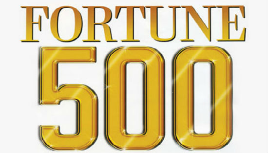 sevenindianfirmsonfortune500list