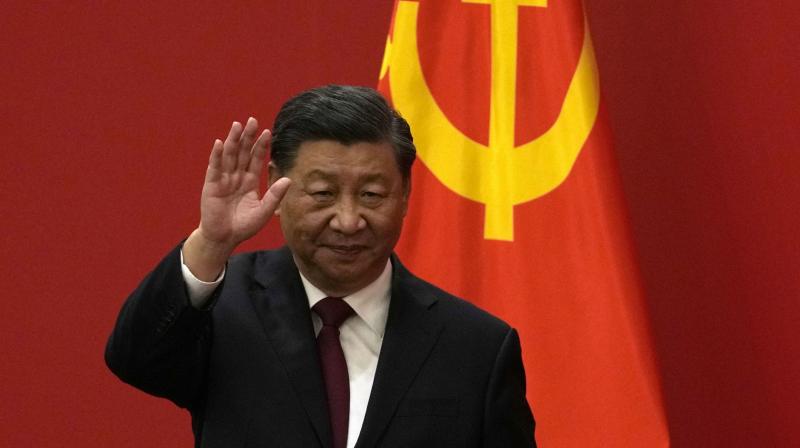 Xi not to join G20 summit