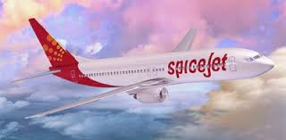 spicejetflighthitsbuffaloatsuratairport