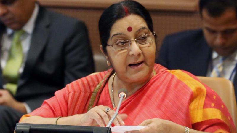 eamsushmaswarajtoparticipateinbricsforeignministersmeetinginsouthafrica