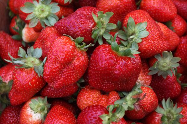 silkcoatingcankeepfruitsfreshforaweek