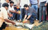 tendulkarunveilsdreamsofapvillage