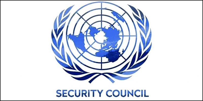 indiaelectedasnonpermanentmemberofunsecuritycouncilforatwoyearterm
