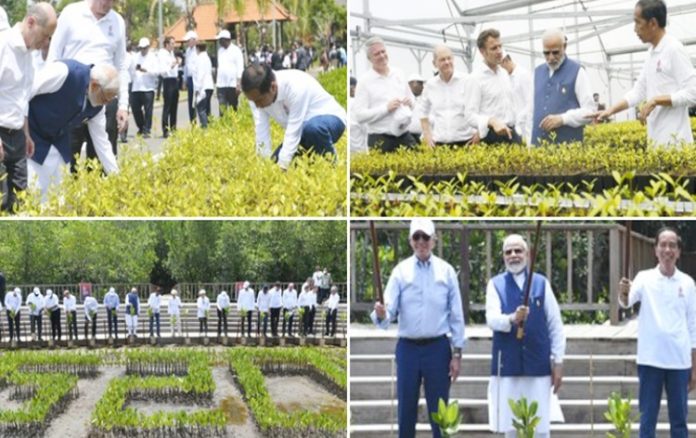 pmmodiandotherg20leadersvisitmangroveforestsinbaliindonesia